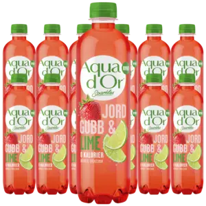 Aquador Jordgubb/Lime Kolsyrad 50cl x 12