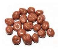 CHOCO/RUSSIN - 2,5 kg