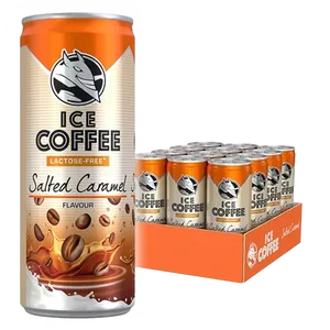 HELL Ice Coffee Salted Caramel 25cl x 12
