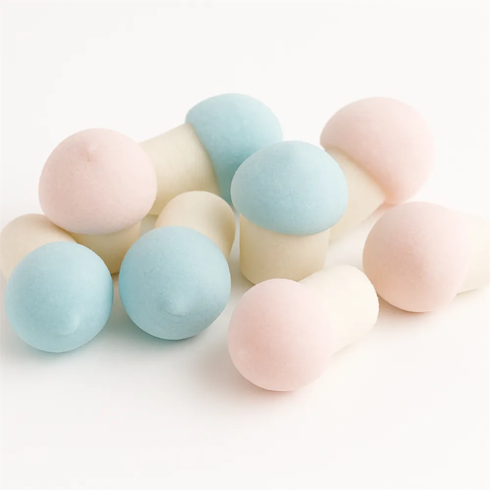 Skumma Svampar 750G /