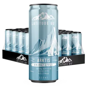 Latitude 65 Arktis 33cl x 24st