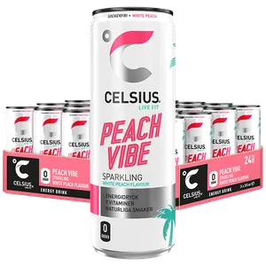 Celsius Peach Vibe 24st x 355ml