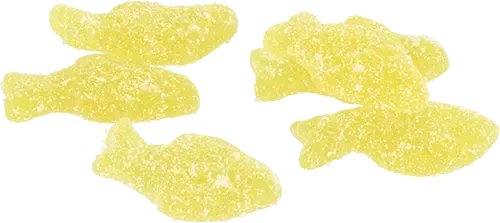 Fizzy Fish /