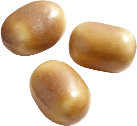 COLA KASTANJER /