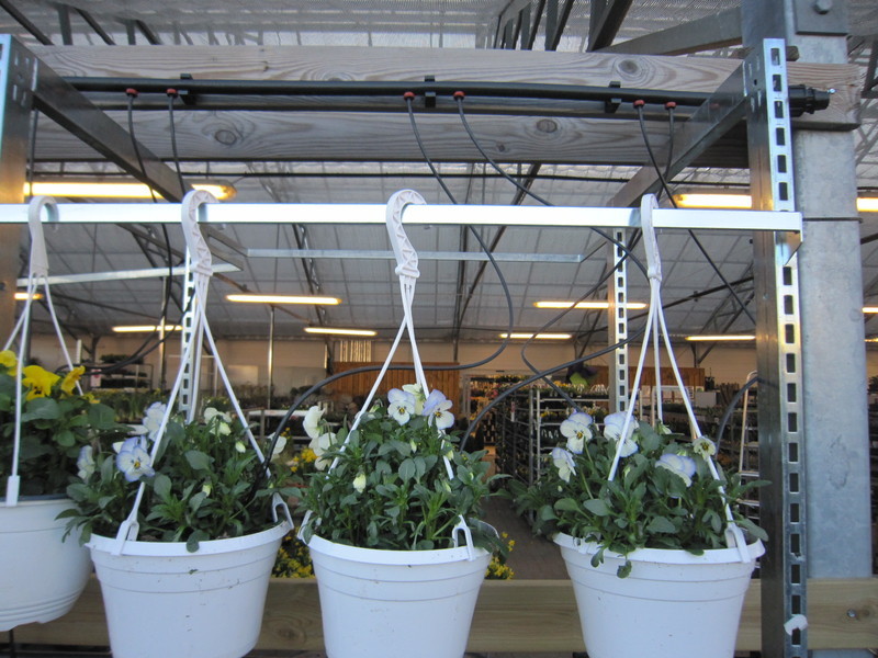 Vid bevattning av container- eller krukodlade produkter inom gardencenters och plantskolor kompletteras ofta med droppbevattning. Från en droppknapp leds vattnet ner i containern eller krukan med hjälp av slang och pinne.