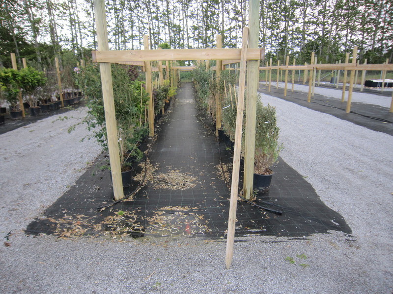 Ogräsbekämpning med marktäckväv Ogräsbekämpning på plantskola med marktäckväv