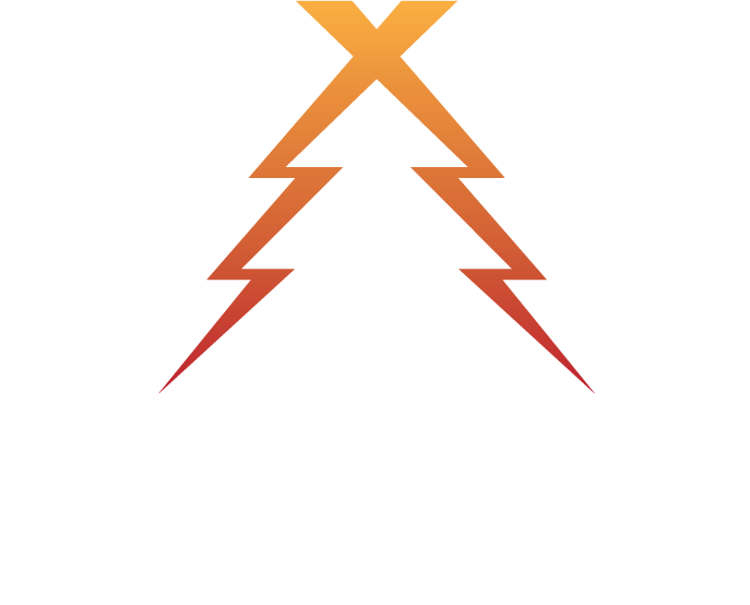 Skogsbränsle Småland
