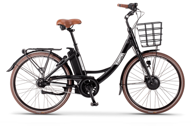 Rent a electric bike