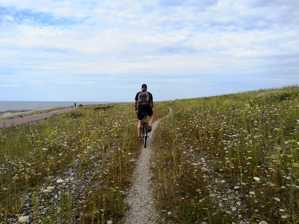 Cycling on North Öland.