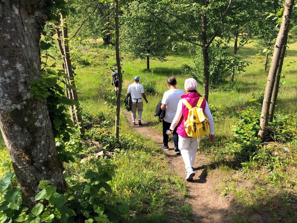 Cycling to Vakö Myr nature reserve.