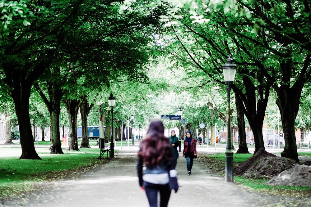 Many parks in Malmö