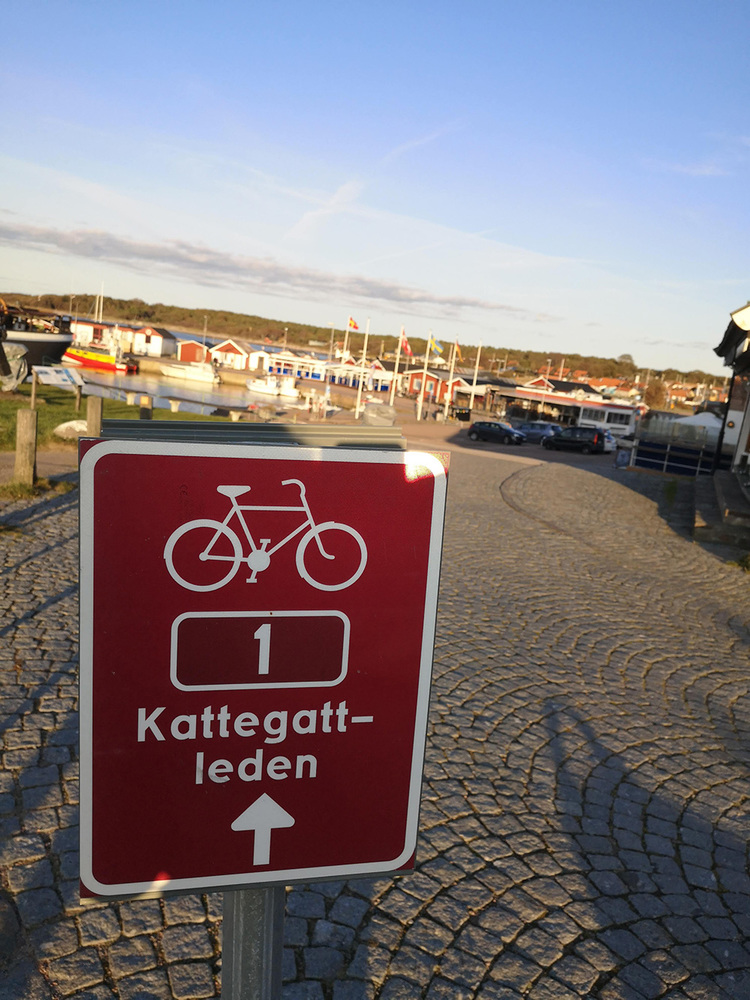 Rent a bike and cycle Kattegattleden.