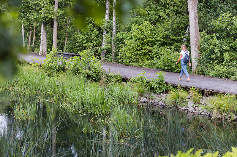 Cycle in Växjö nature