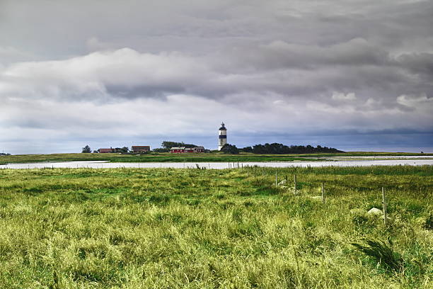 Cykla Kattegattleden, hyr cykel i Falkenberg.