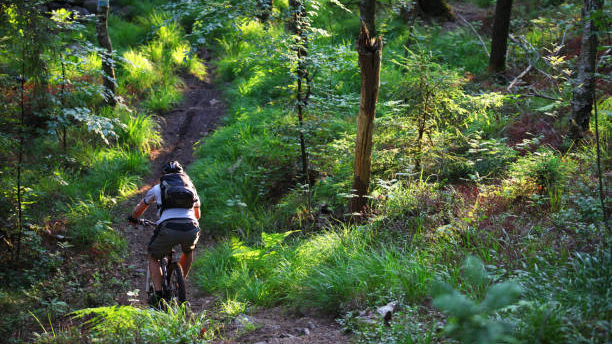 Mountainbike cykling i Svartbäcksmåla.