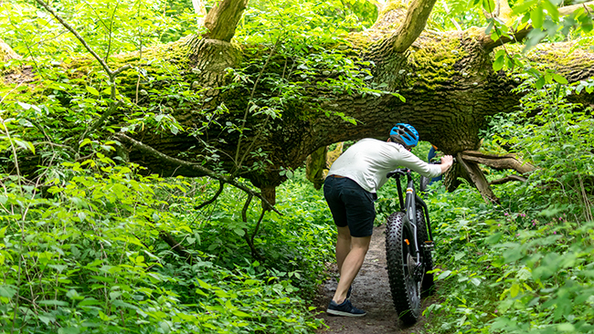 Rent a fatbike in Halmstad.