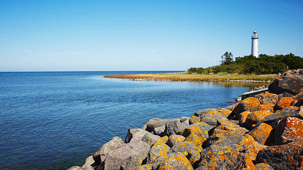 Cycling to Långe Erik in Öland.