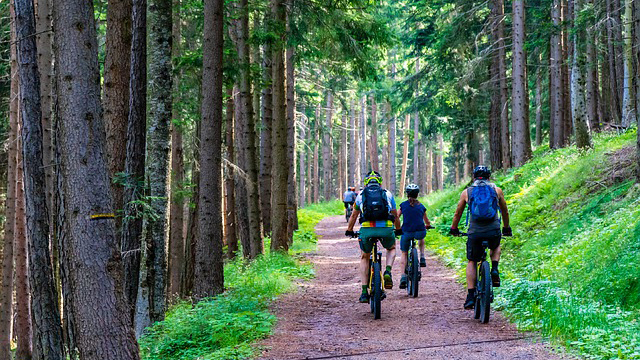 Mountainbiking in Glasriket, Småland.