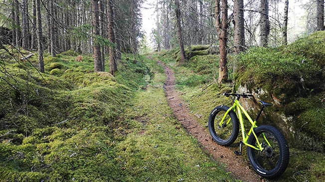 Mountainbiking in Askersund, bike rental of MTB.