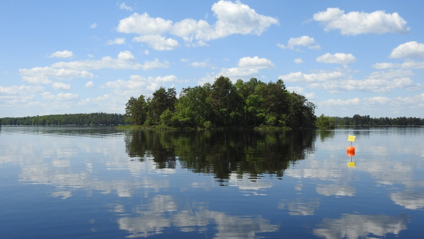 Discover Åsnen national park on a bike.