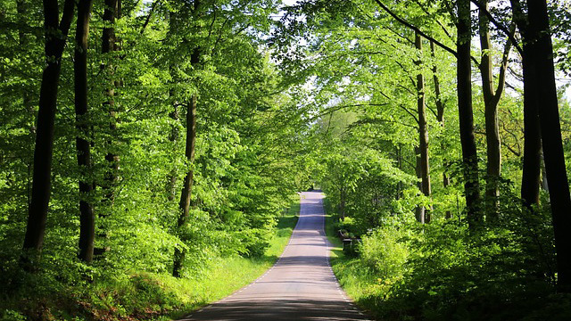 Discover Skanör-Falsterbo on a bike.