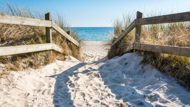 Discover Österlen on a bike, rent a bike in Simrishamn.