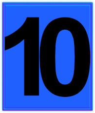 SBN Conference number 10