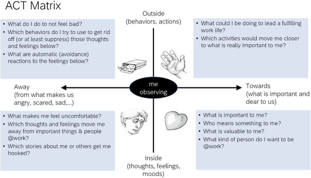 ACT Matrix