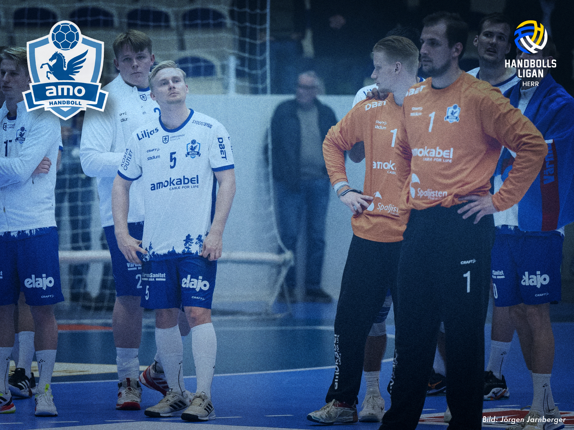 Amo utan chans i Skövde