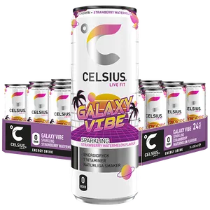 Celsius Galaxy Vibe 24st x 355ml