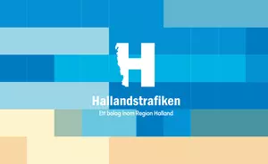 Intyg baksida