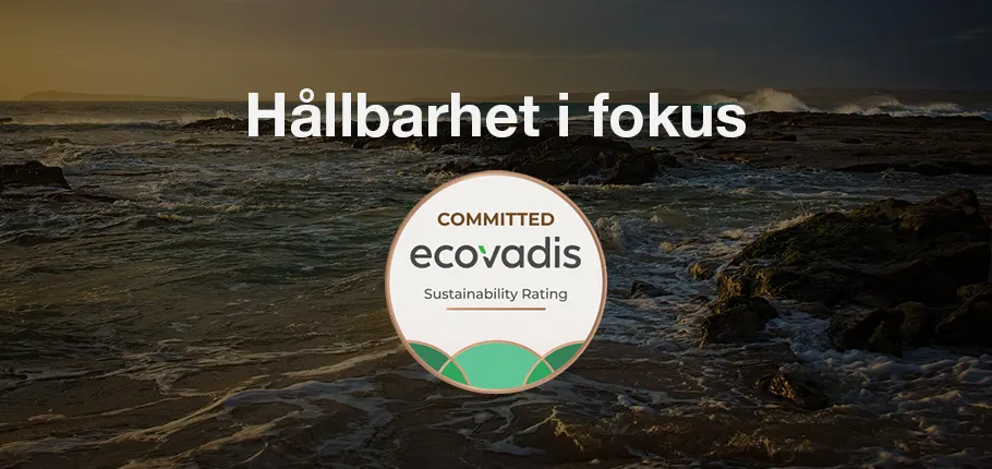 Ny utmärkelse från EcoVadis