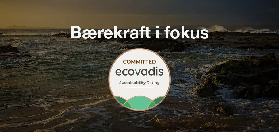 Ny utmerkelse fra EcoVadis