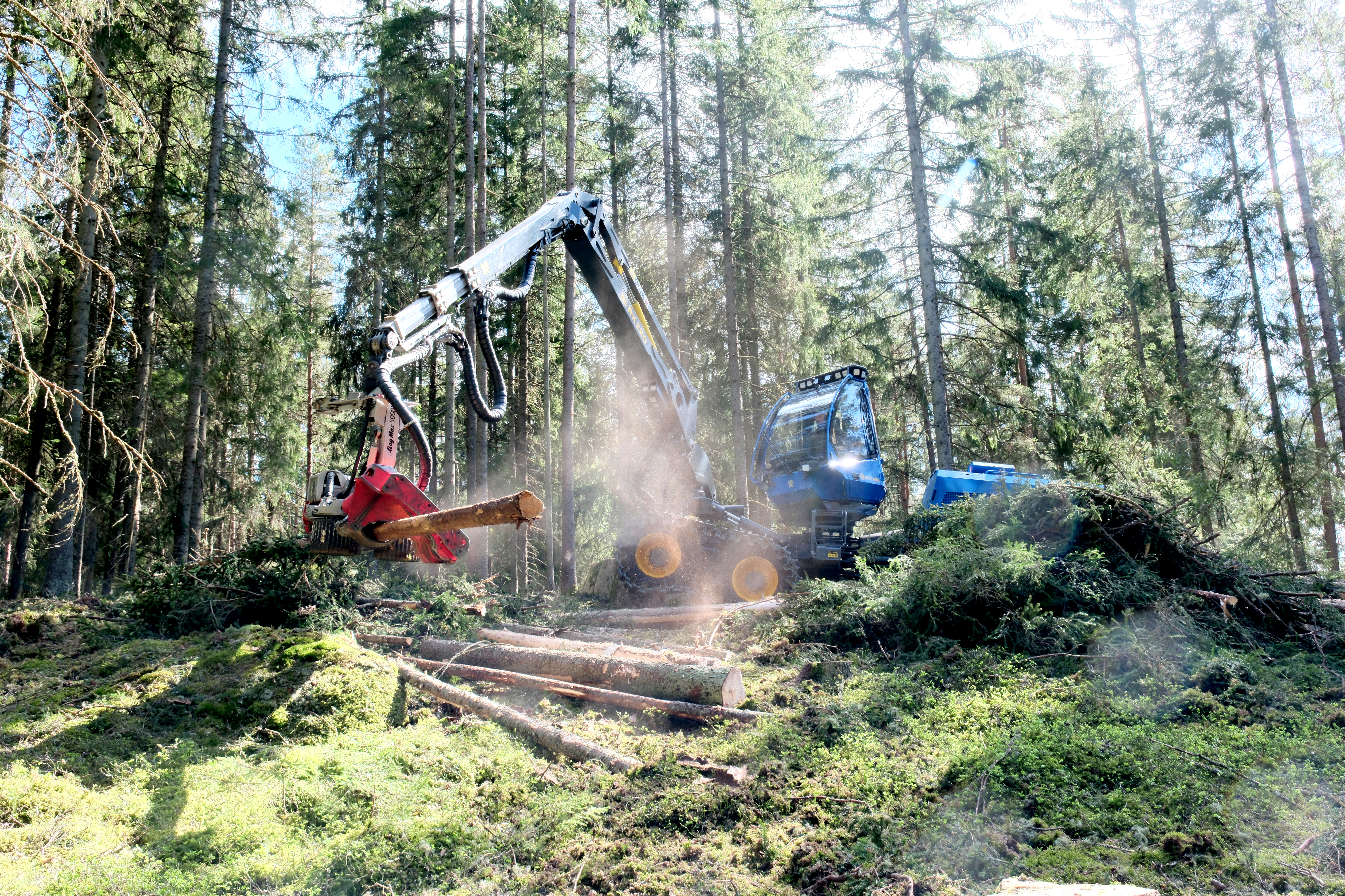 ROTTNE H11E Skördare