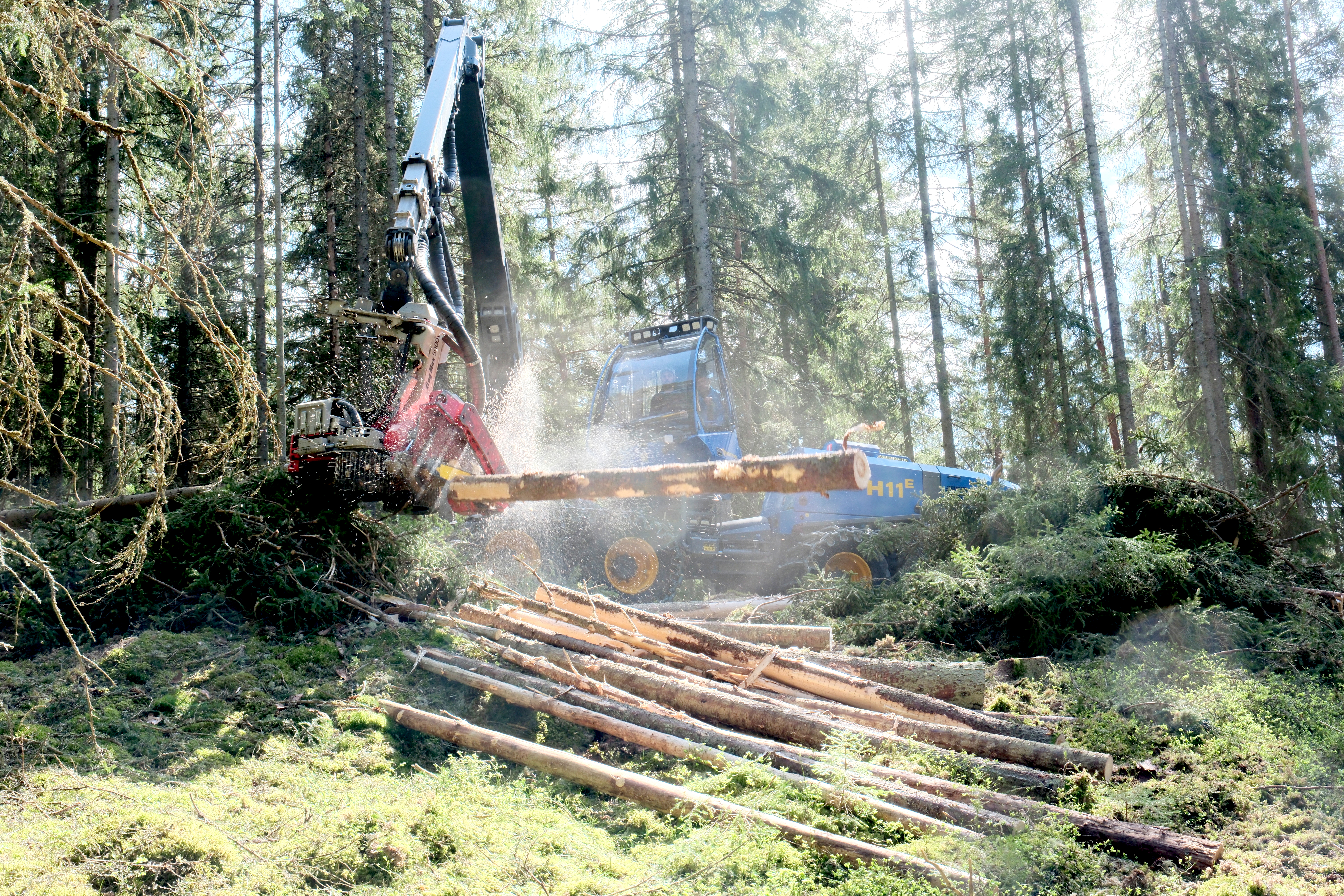 ROTTNE H11E Skördare