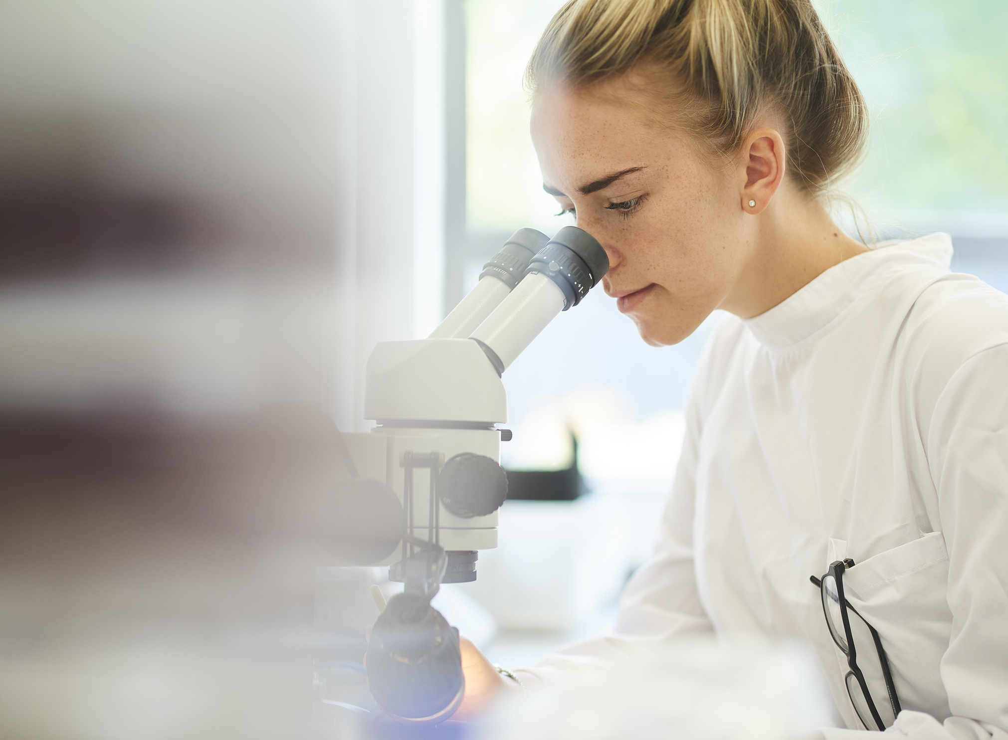 Forskning & Utveckling