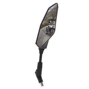 Oxford Mirror Kite   Right