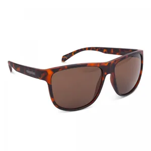 Oxford Sahara Tuturl Shell Frame Brown Lens Sunglasses