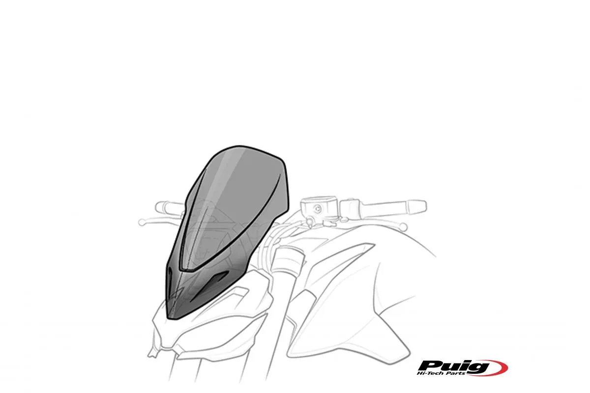 Produkt bilder Windshield New Generation Touring Kawasaki Z900 25